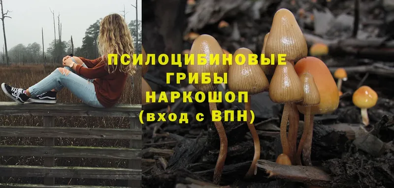 Псилоцибиновые грибы Magic Shrooms  даркнет сайт  Мосальск 